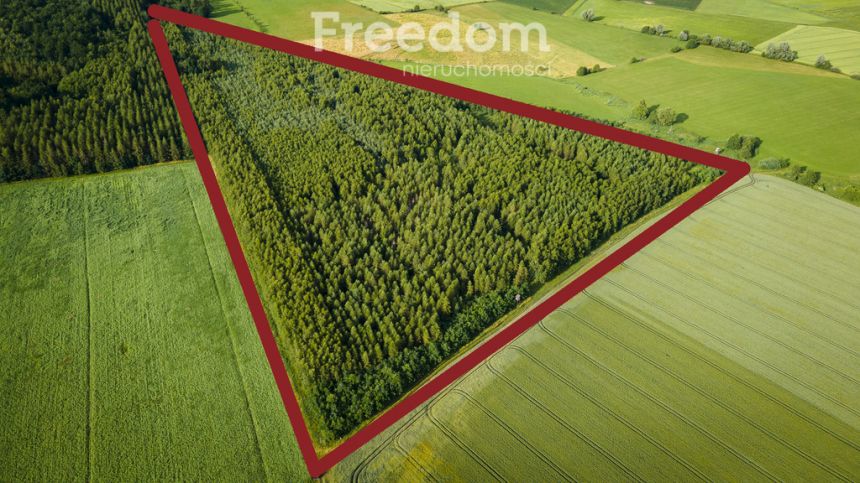 9,85 ha zalesionej działki rolnej na Mazurach!!! - zdjęcie 1