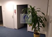 Włochy: biuro 216 m2 miniaturka 7