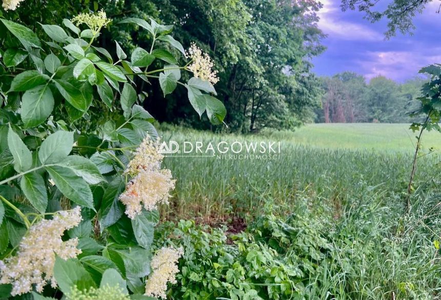 Warmia atrakcyjna działka budowlana z WZ i mediami miniaturka 5