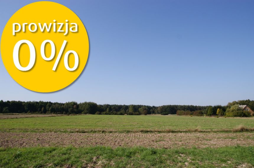 Duża działka nad jeziorem Krasne pod inwestycję miniaturka 13