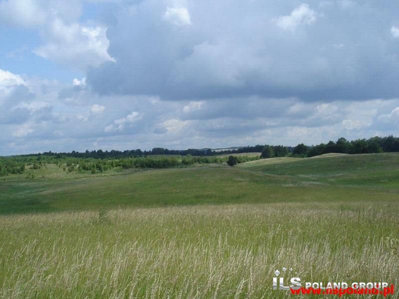 Małobór, 950 000 zł, 15.08 ha, budowlana miniaturka 11