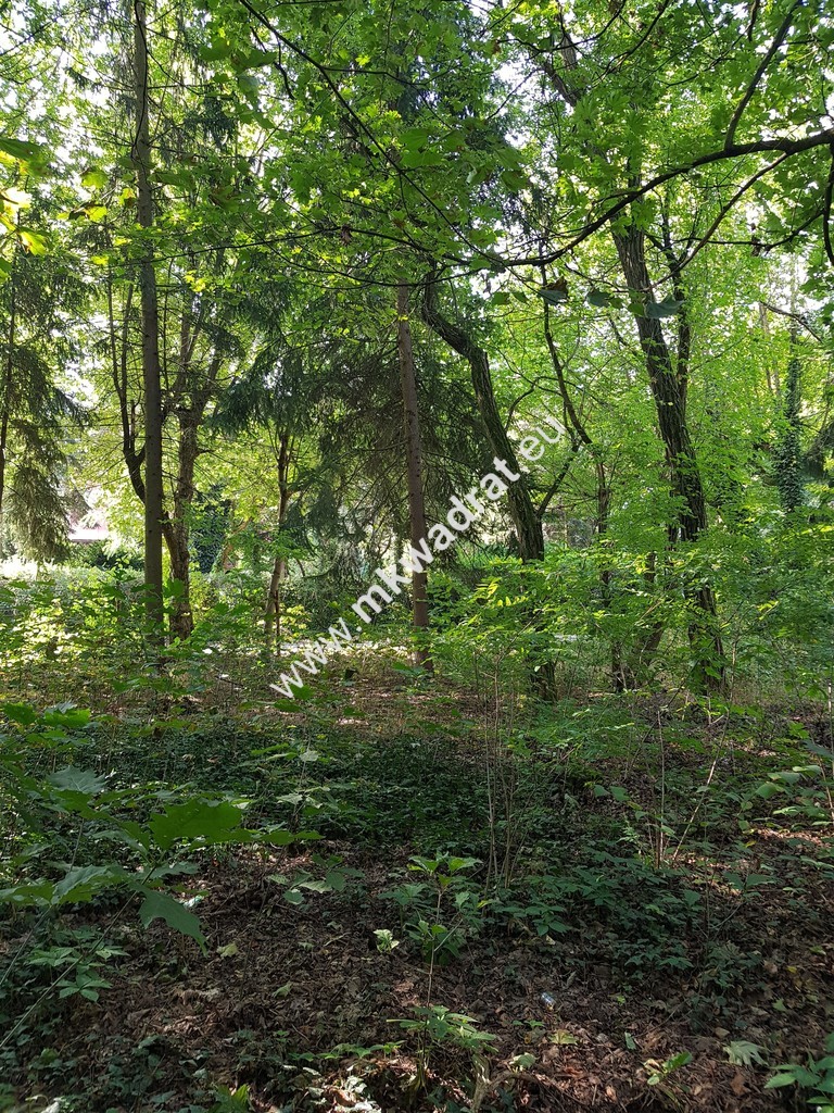 CIEKAWA działka w ścisłym centrum Podkowy L. miniaturka 3
