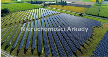 Farma fotowoltaiczna / duże zyski
