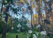 Władysławów, 410 000 zł, 15.63 ar, rekreacyjna miniaturka 1