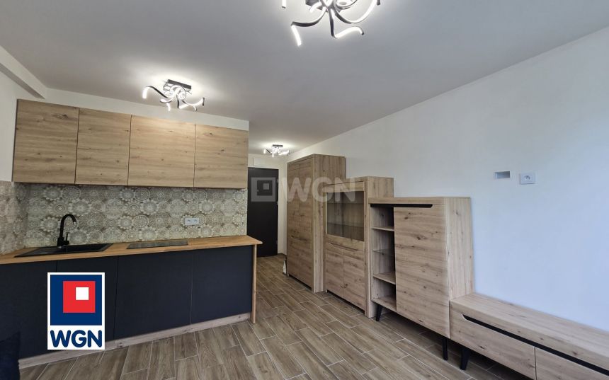 Cieszyn, 215 000 zł, 20 m2, kuchnia z oknem miniaturka 7