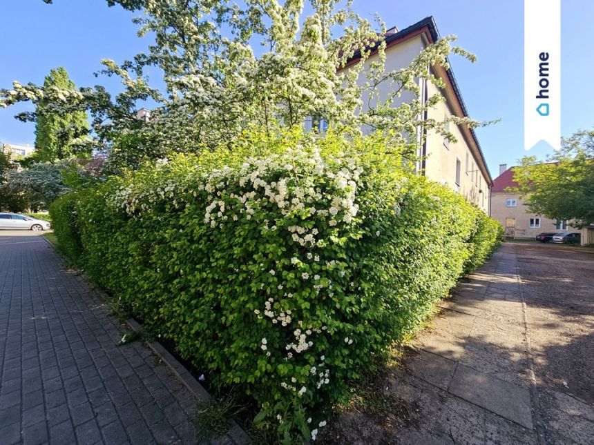 Kawalerka do remontu w centrum Włocławka miniaturka 8