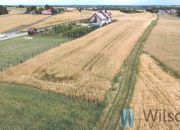 Józefów-Pociecha, 336 000 zł, 28 ar, droga dojazdowa utwardzona miniaturka 3