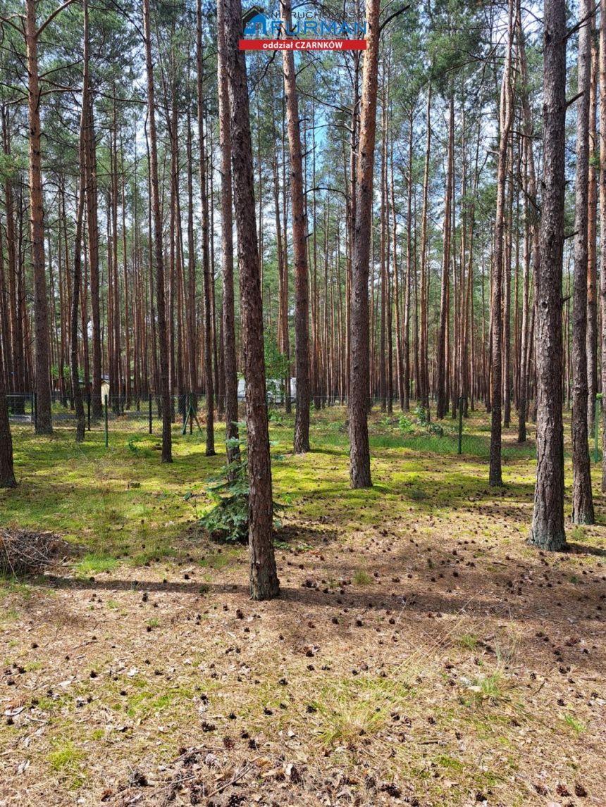 działka zabudowana drenianym dom w Białej miniaturka 2