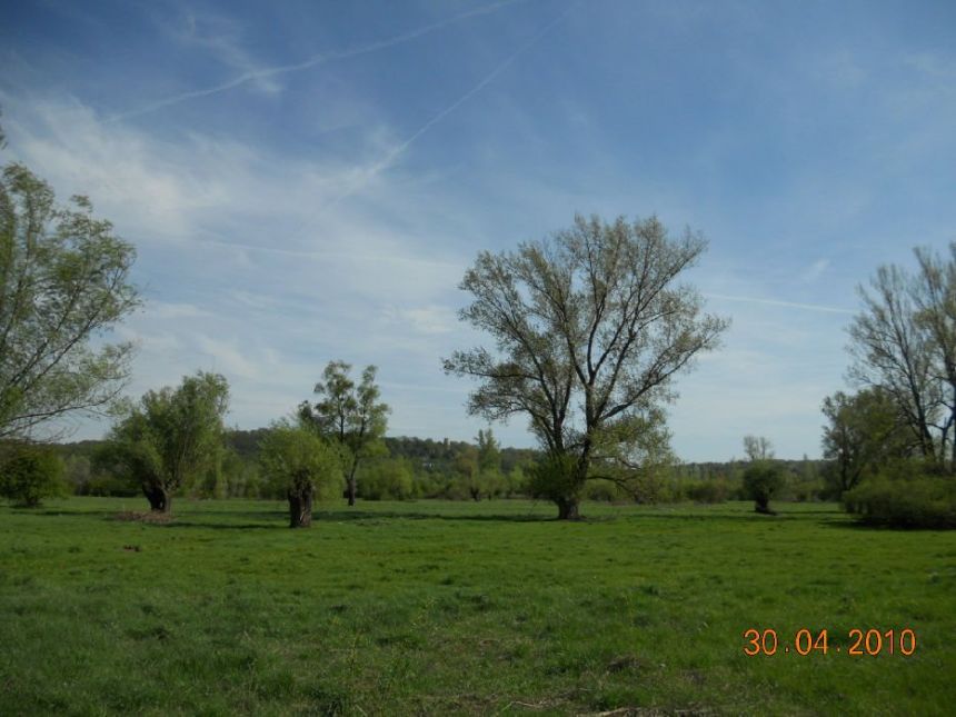 Kazimierz Dolny, 3 500 zł, 93.48 ha, bez prowizji miniaturka 14
