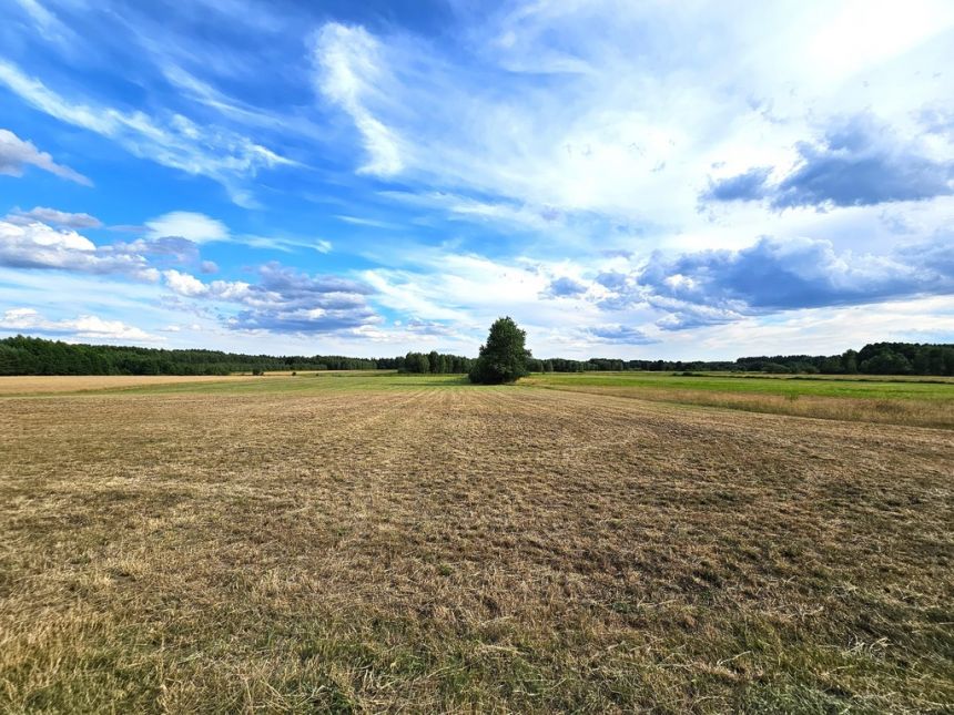 Działki rolne, Leszkowice, gm. Ostrówek miniaturka 2