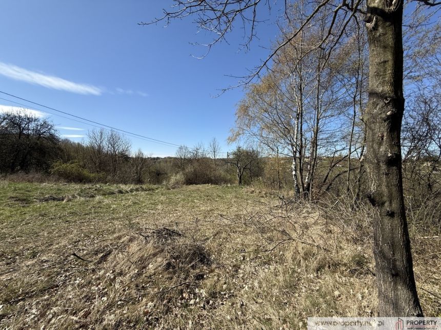 Działka widokowa 26.5 ar, Stasiówka, Dębica miniaturka 6