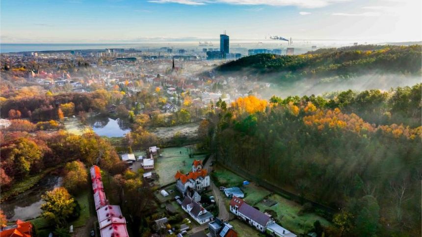 Dom na wynajem w pięknej okolicy - Oliwa miniaturka 12