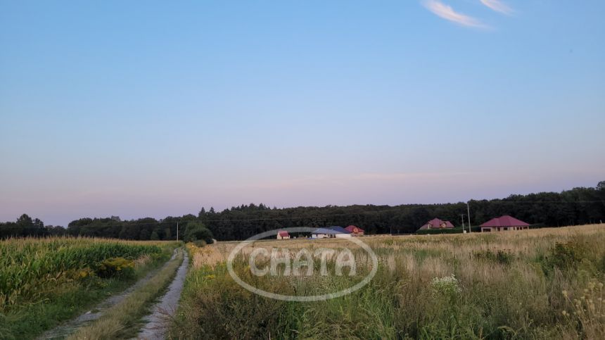 Jastrzębce, 3 608 570 zł, 5.16 ha, przyłącze prądu miniaturka 6