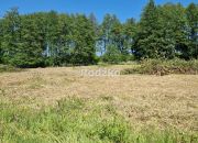 Wałdowo Królewskie 325 000 zł 31.44 ar miniaturka 3