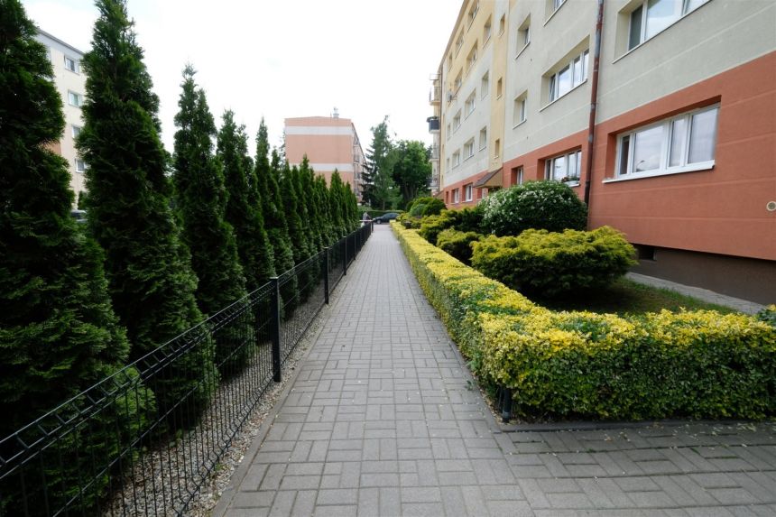 2 pokojowe z balkonem na Grunwaldzie miniaturka 2