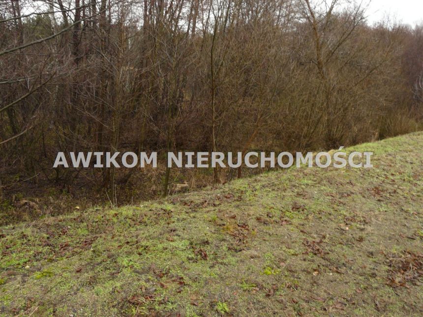 Skierniewice, 138 258 zł, 1.54 ha, droga dojazdowa asfaltowa miniaturka 8