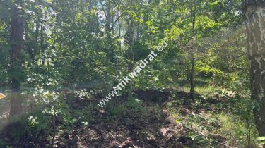 Działka budowlana 3218 m2 Radonie z MPZP Okazja