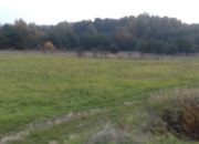 Sadowie, 45 840 zł, 15.28 ar, droga dojazdowa polna miniaturka 1