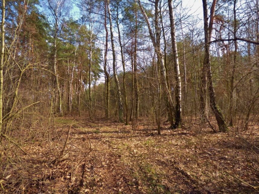 DZIAŁKA 3800 m², WÓLKA ŁĘKAWSKA miniaturka 5