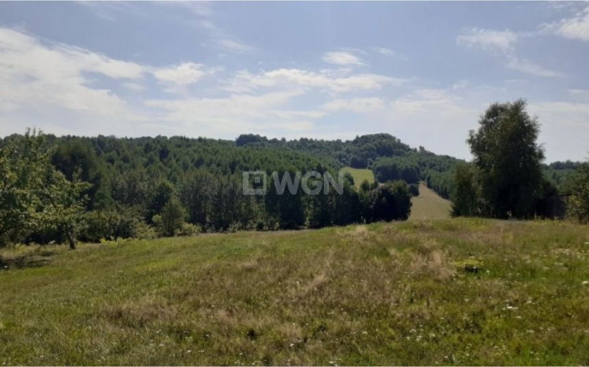 Ludwinów, 169 000 zł, 1.93 ha, budowlana miniaturka 4