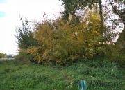 Radom, 742 000 zł, 37.1 ar, inwestycyjna miniaturka 6