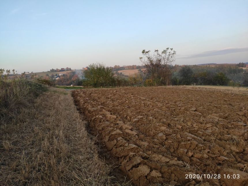 Siedliska, 125 000 zł, 1.13 ha, budowlana miniaturka 7