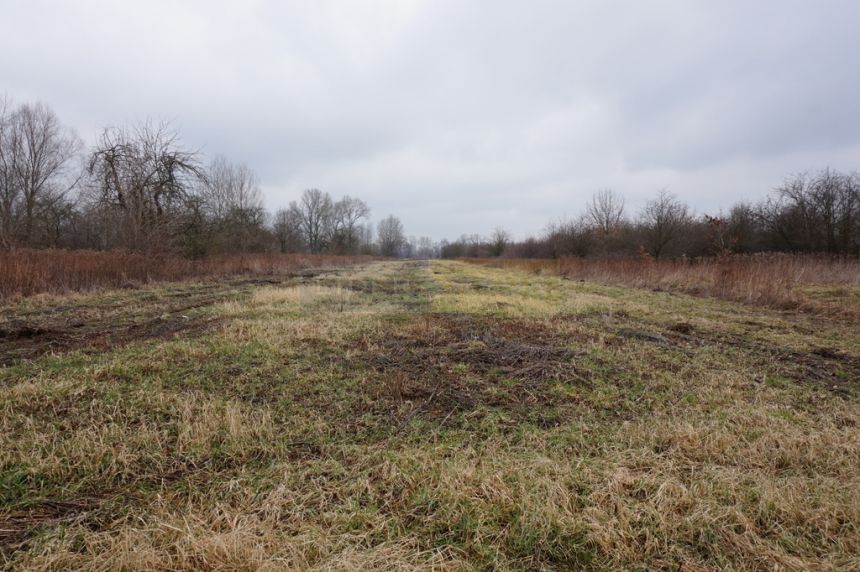 DZIAŁKA BUDOWLANA NAD JEZIOREM miniaturka 7