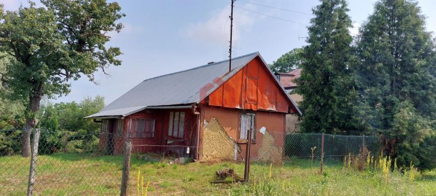 twoja oaza spokoju na wschodzie, Wielkie Oczy miniaturka 5