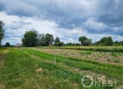 Dębówka, 2 476 500 zł, 3.81 ha, droga dojazdowa asfaltowa miniaturka 4