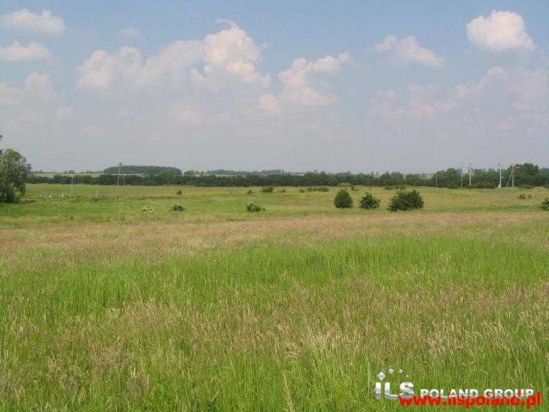 Stobno, 1 200 000 zł, 1.67 ha, rolna miniaturka 4