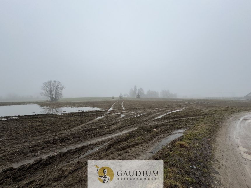 DZIAŁKI KASZUBY 1000 m2 GMINA SZEMUD! miniaturka 5