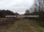 Skierniewice, 138 258 zł, 1.54 ha, droga dojazdowa asfaltowa miniaturka 2