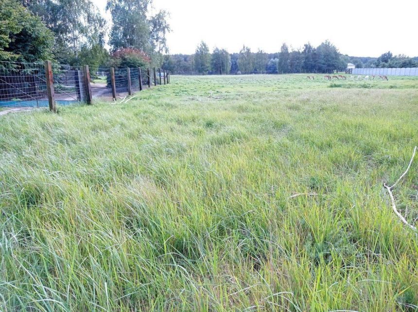 Bolesławiec miniaturka 3
