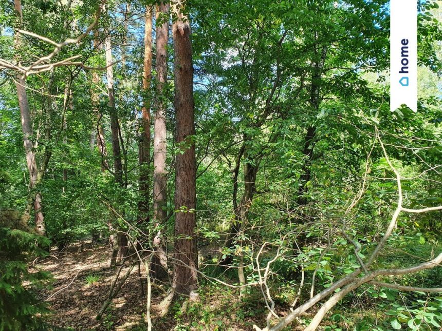 Tąpadła - Działka budowlana przy Ślężańskim Parku miniaturka 2