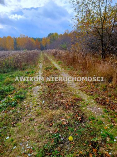 Kajetany, 900 000 zł, 30 ar, budowlana