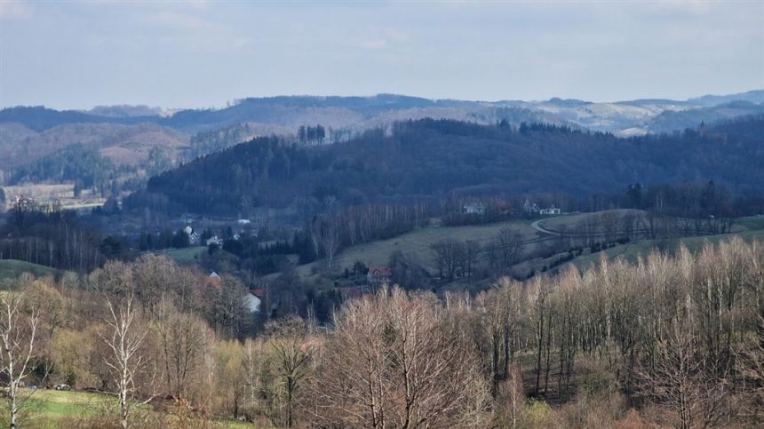 Panorama Góry Sowie, Zamek Grodno miniaturka 5