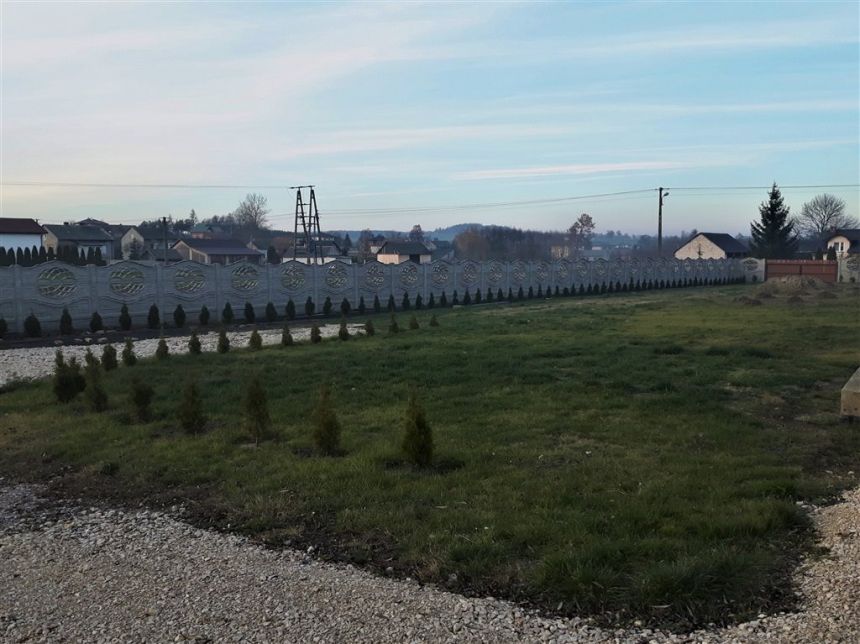 DOM 100 m2, DZIAŁKA 1,65 ha, 2 km OD PRZEDBORZA miniaturka 8