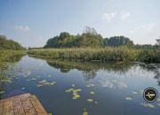 Makosieje, 1 250 000 zł, 177.62 m2, bliźniak miniaturka 17