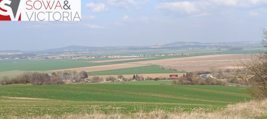 Piękna, otoczona lasem działka w Dobromierzu miniaturka 1