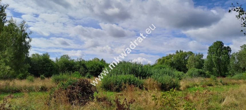Działka budowlana, Stara Wieś, 3500 m2. MPZP miniaturka 6