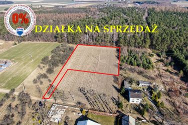 Działka pod lasem w Załuskach