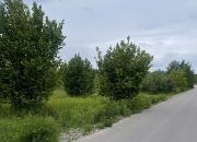 Działka 879 m² – media w drodze, las, SKM. miniaturka 3