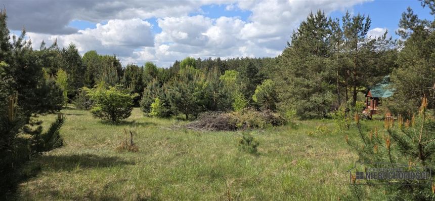Działki budowlane w pobliżu jeziora Dołgie miniaturka 5