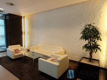 Warszawa Śródmieście, 28 000 zł, 350 m2, pietro 2, 11