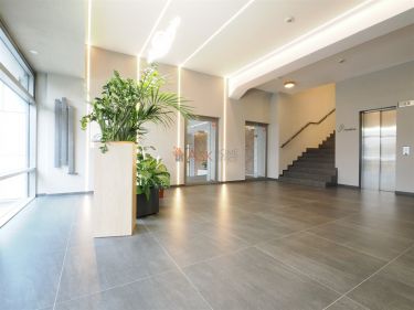 Wrocław Krzyki, 3 922 zł, 53 m2, wysoki standard