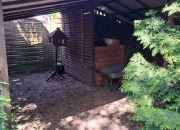 nieruchomość w Miałach gmina Wieleń miniaturka 4