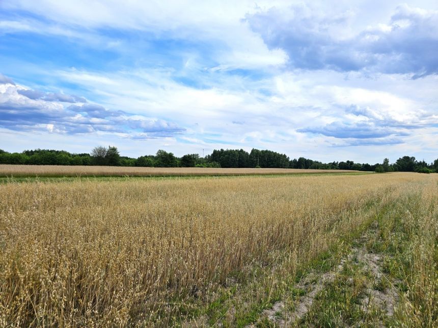 Działki rolne, Leszkowice, gm. Ostrówek miniaturka 3