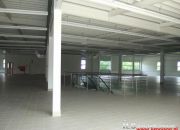 Szczecin Pomorzany 60 000 zł 1500 m2 miniaturka 3