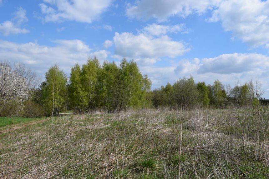 Działka rolno-budowlana 28a, Chmielnik miniaturka 9