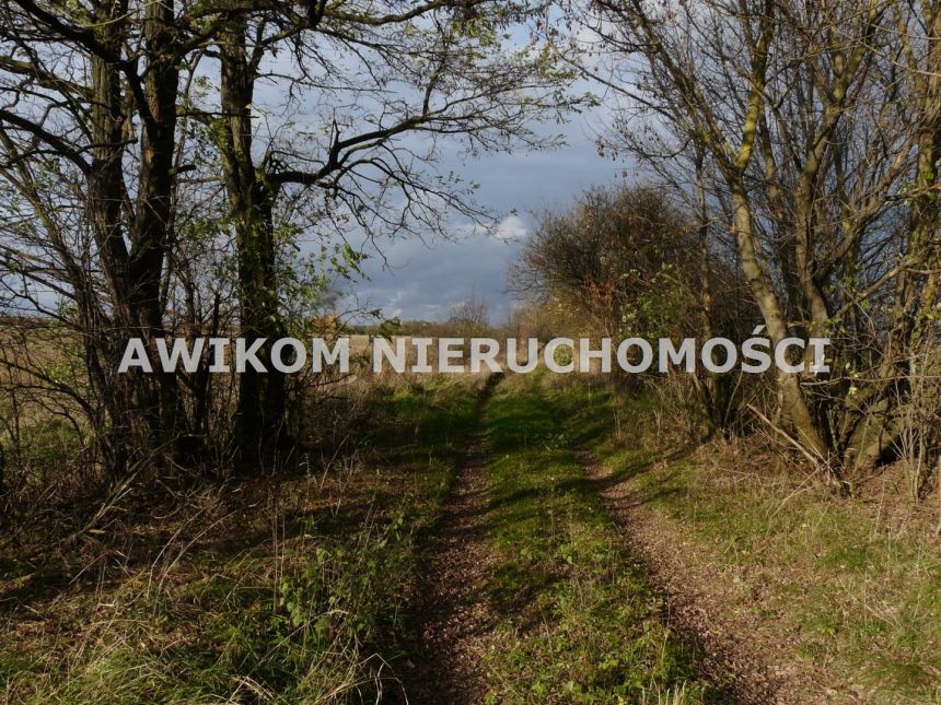 Wycześniak, 1 625 700 zł, 16.26 ha, rolna miniaturka 9